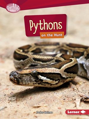 Pythons on the Hunt - ebook